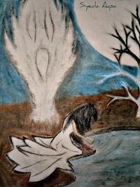 Syeda's entry